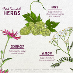 Sustainability-focused packaging with WishGarden branding