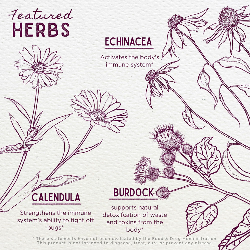 Echinacea Purpurea used in WishGarden Immune Boost for Pregnancy