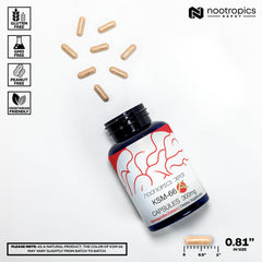 Illustration of Withania somnifera extract (ashwagandha)
