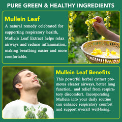 Mullein Leaf Gummies serving suggestion
