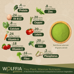 Close-up of dried Wolffia globosa powder texture