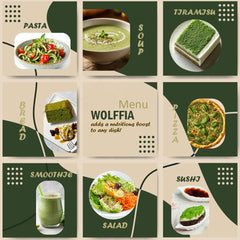 Wolffia globosa sprinkled into a salad