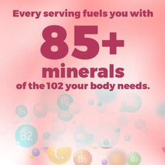 Packaging: Pure Himalayan Shilajit Sticks