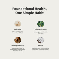 Immune support imagery for Women's Daily Multi Vitamins