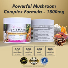 Illustration of Lion's Mane, Reishi, Cordyceps, and Turkey Tail mushrooms