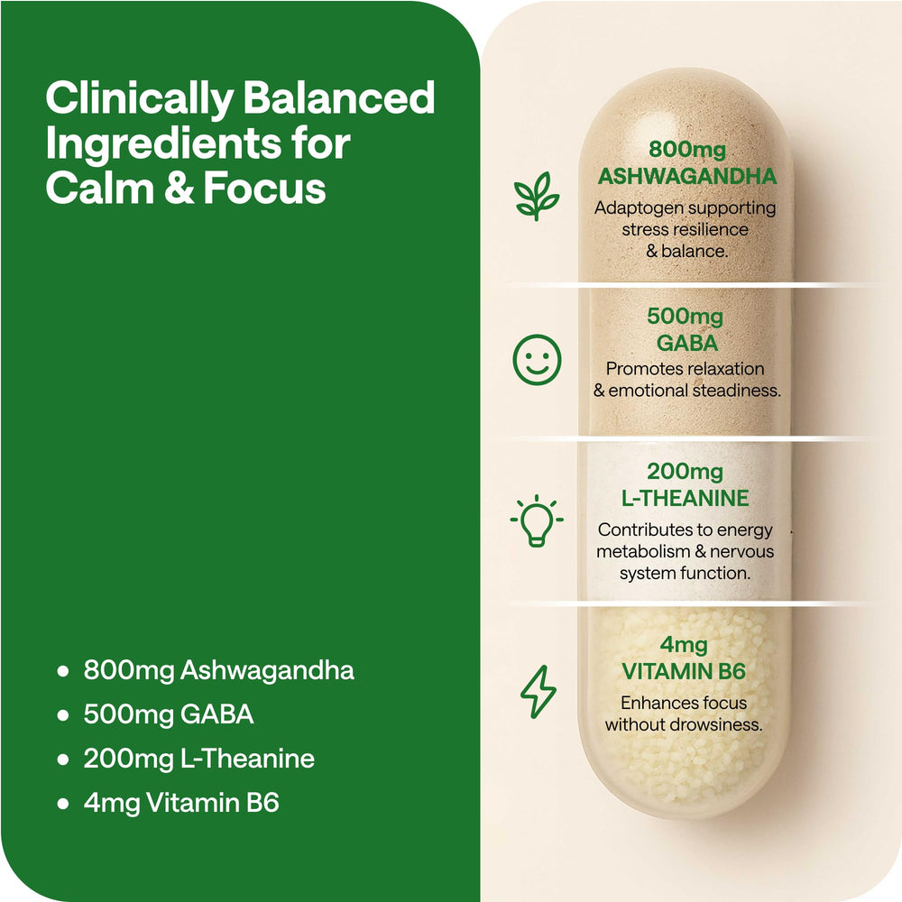 GABA, L-Theanine capsules with B6 supplement label