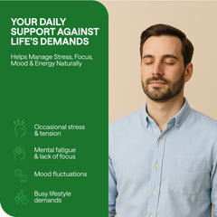 Calm and focused lifestyle concept with serene backdrop