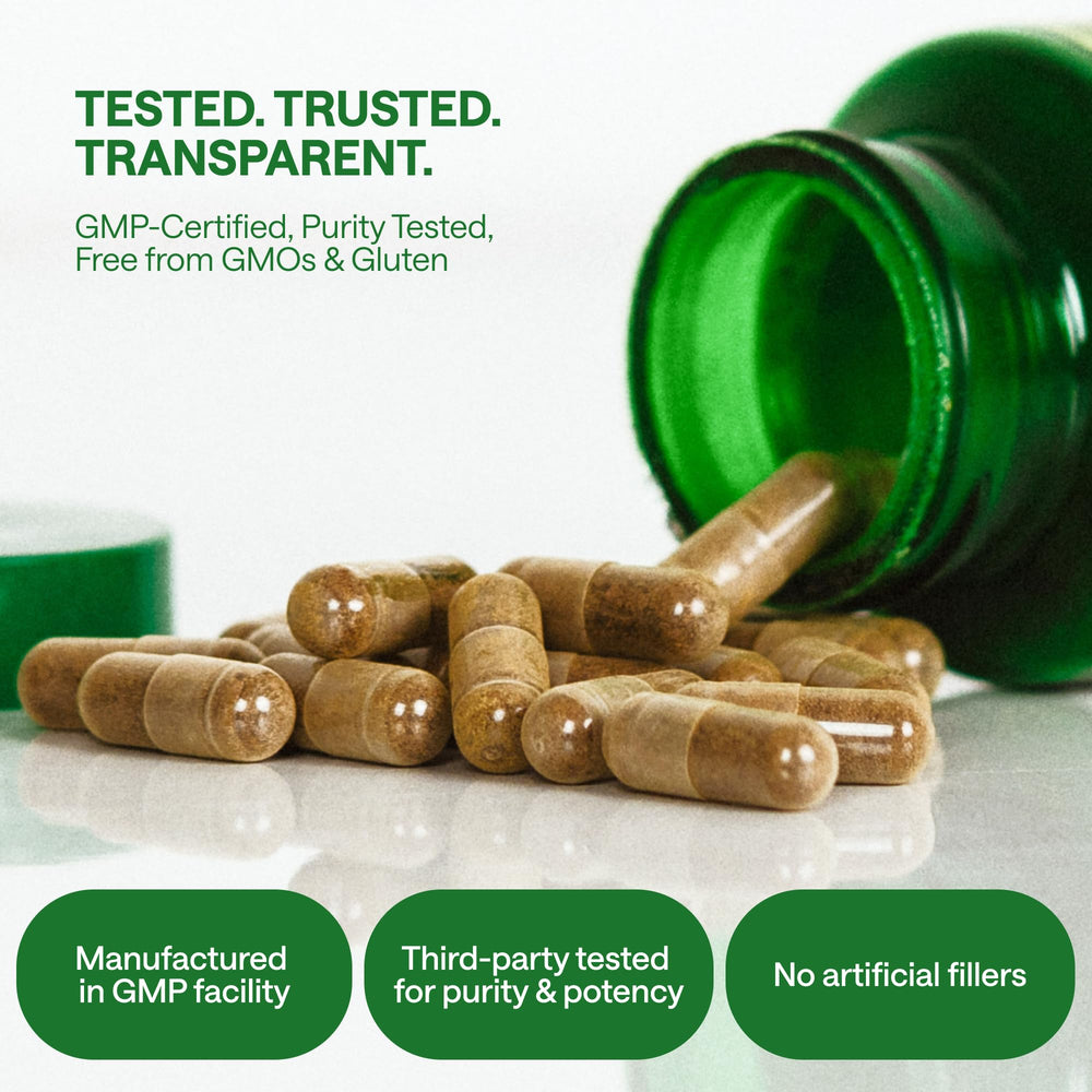 Front view of Wonder Family Ashwagandha bottle on shelf