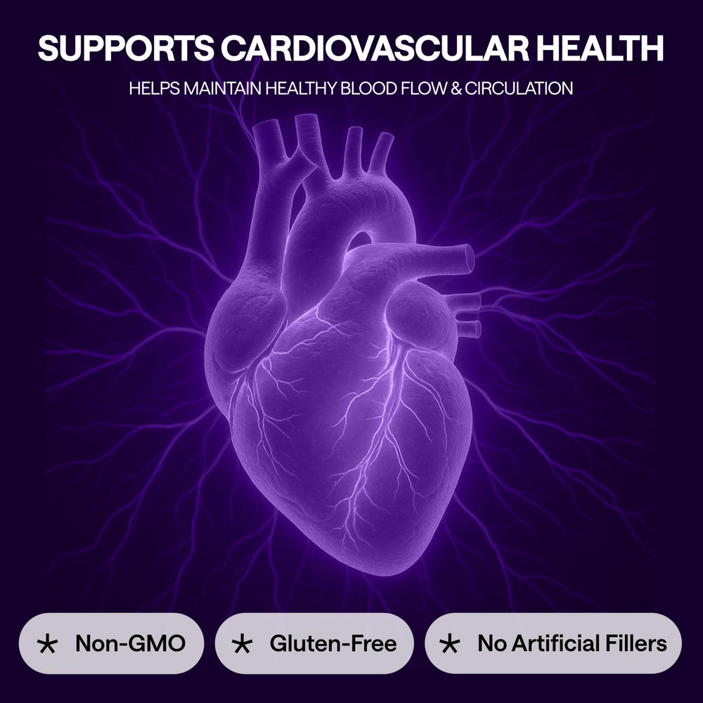 Graphic depicting heart health and improved circulation
