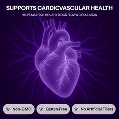Graphic depicting heart health and improved circulation