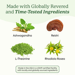 Close-up of WonderCalm ingredients label highlighting ashwagandha and other ingredients