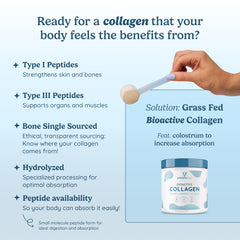 Graphic showing Type I & III collagen with supplement ingredients