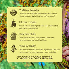 Calm lifestyle scene with tranquil herbal tincture