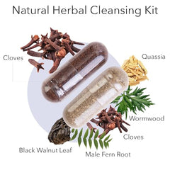 Wormwood detox capsules close-up