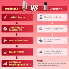 Wormwood, psyllium husk, and DGL digestive support trio