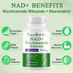 Close-up of Xaarty NAD label showing nicotinamide riboside and resveratrol