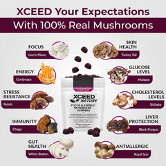 Ingredients list for XCEED NATURE Lions Mane & Cordyceps Gummies