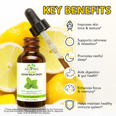 Lemon balm drops bottle with dropper for easy dosing