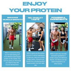 Ingredients panel highlighting plant-based protein blend