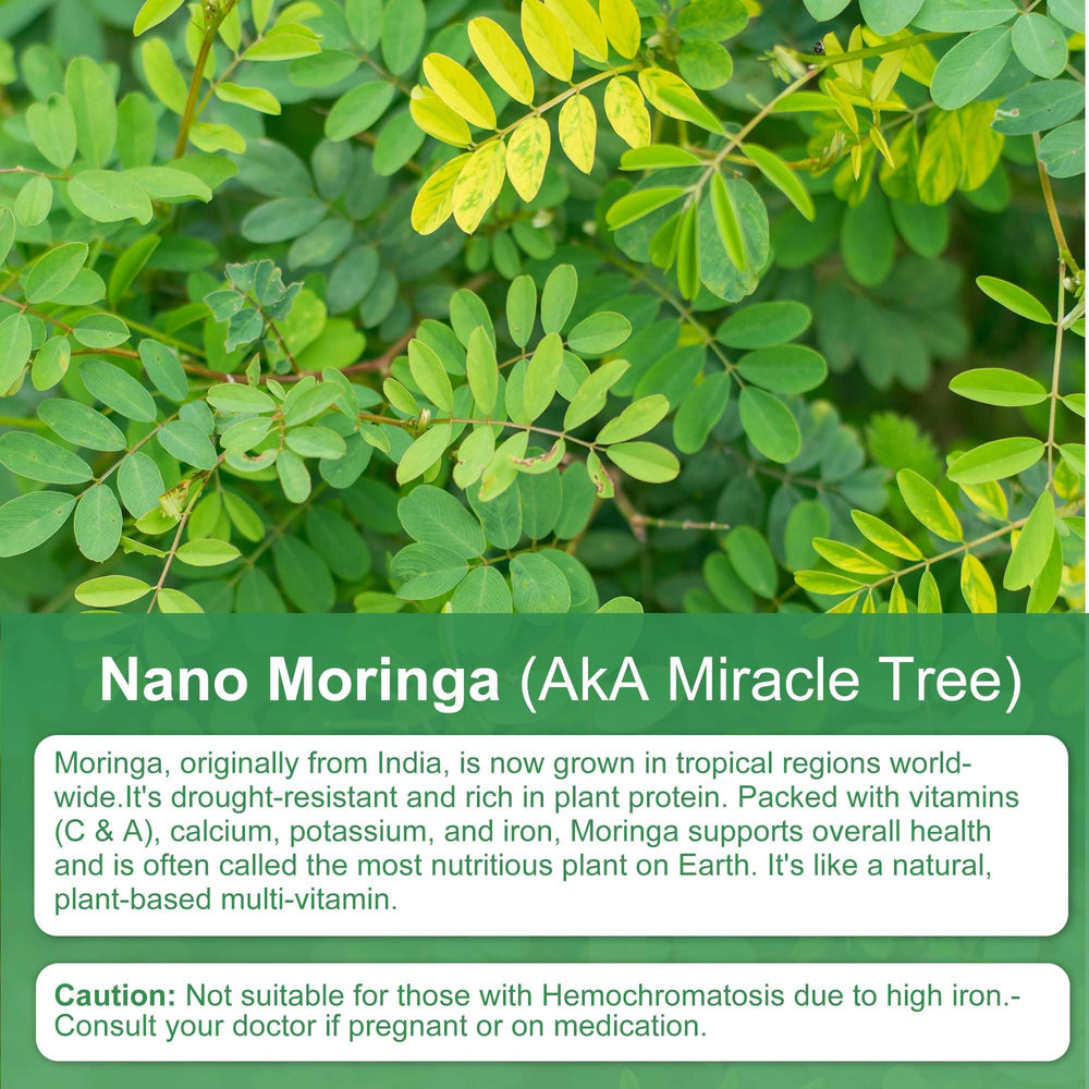 Lab-tested, pesticide-free Moringa capsules certificate
