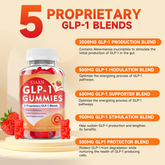 Berberine and Akkermansia probiotic concept illustration