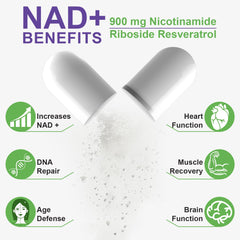 Graphic illustrating liposomal delivery for enhanced NAD+ absorption