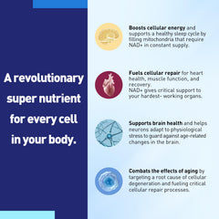 Capsules and a glass of water representing daily NAD+ dose