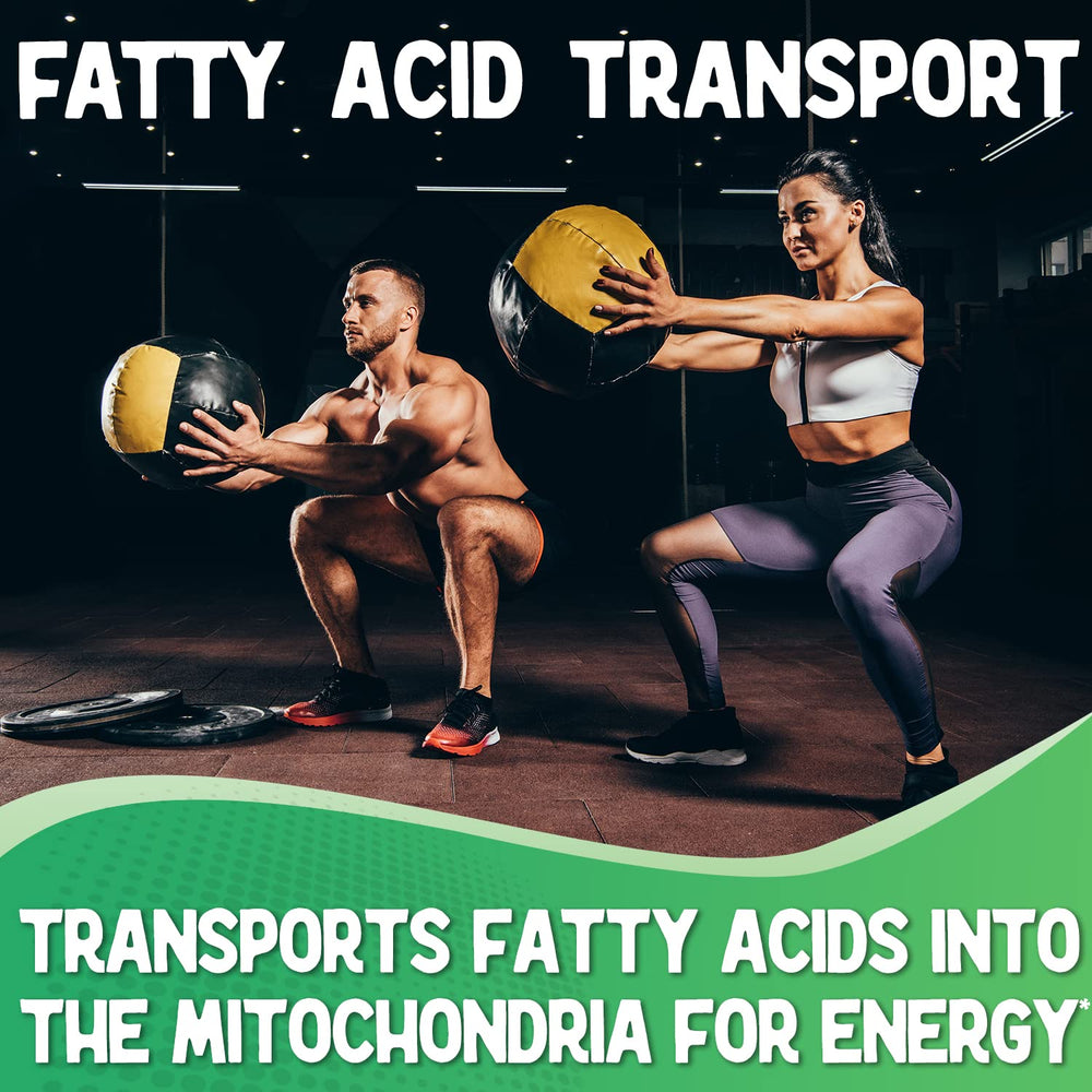 XPRS Nutra L Carnitine Tartrate Powder closeup emphasizes pure ingredients and clean taste.