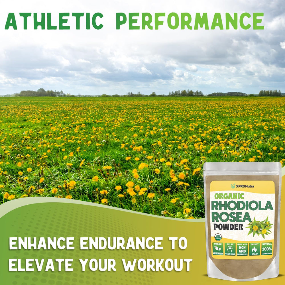 Rhodiola Rosea powder packaging and scoop