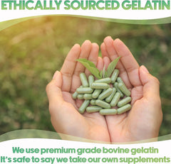 Size 0 bovine gelatin capsules hold 400–800 mg powder