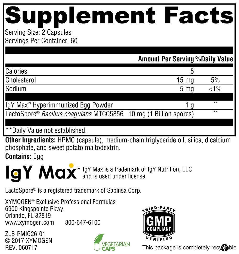 Illustration of LactoSpore Bacillus coagulans MTCC5856