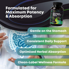 Concept of gut health and detox with herbal capsules