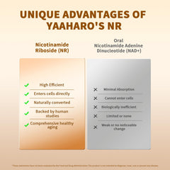 Packaging of YAAHARO NAD+ with 2 capsules per day guidance