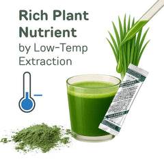 Close-up of barley grass juice powder texture