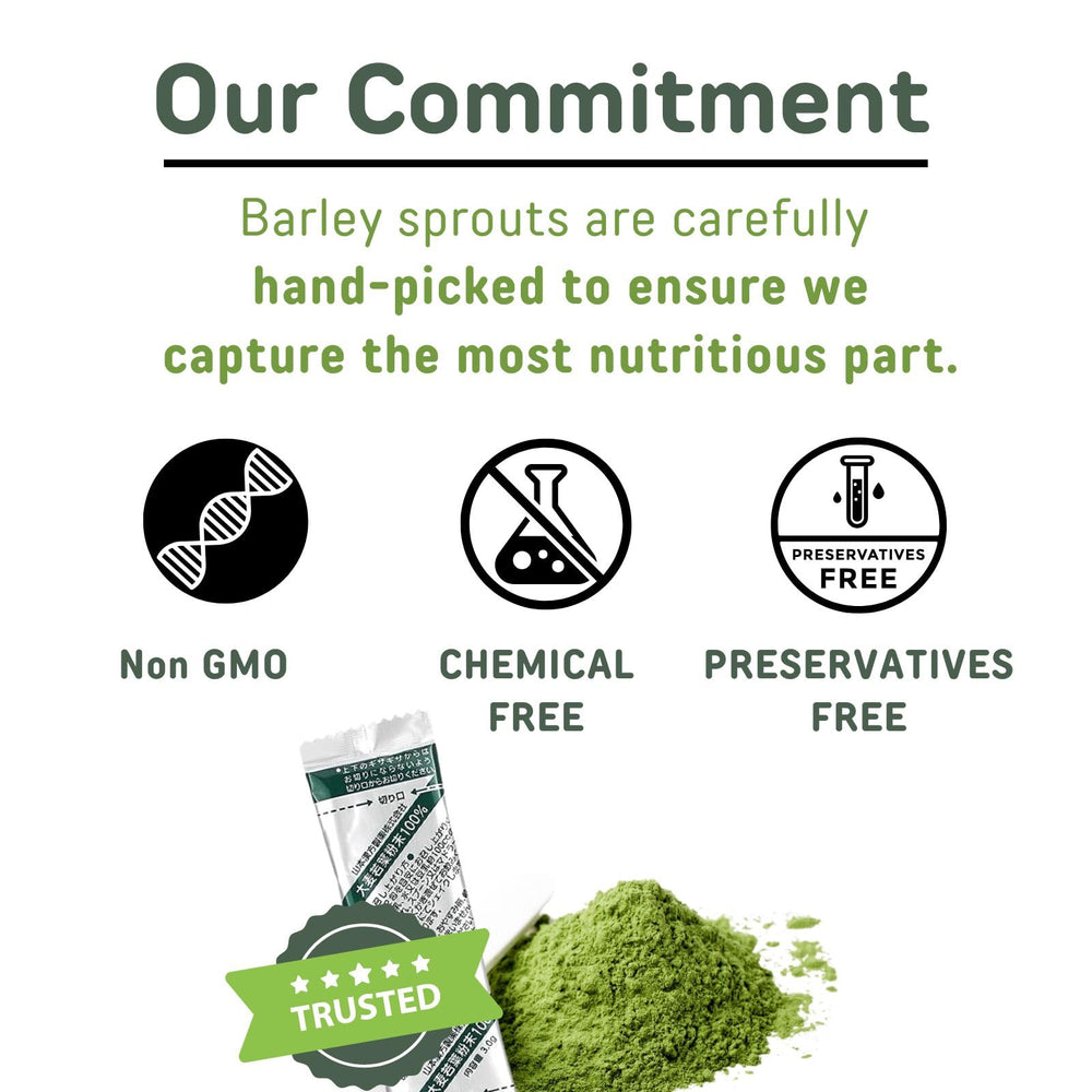 Individual travel sachets of YAMAKAN Barley Grass Juice Powder