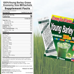 Lifestyle scene with barley grass smoothie prepared from powder