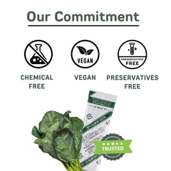 Container of Kale Powder next to fresh kale