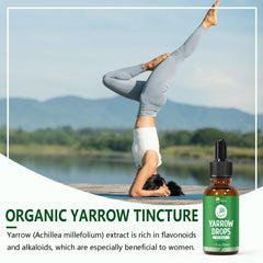 Wildcrafted yarrow extract ingredients