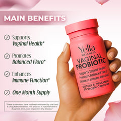 Inulin prebiotic illustration supporting probiotic survival