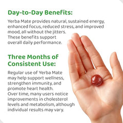 Close-up of Yerba Mate Gummies texture