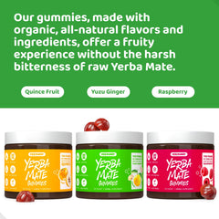 Student using Yerba Mate Gummies Yuzu & Ginger for study focus