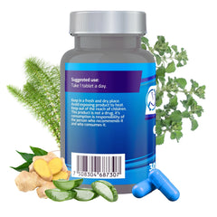 Ingredient collage for BYPASS BPRI BLUE: aloe vera, ginger, sarsaparilla, green tea