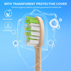 Illustration showing compatibility with Philips One HY1200/05