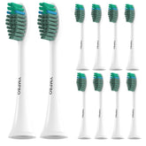 YMPBO 10-pack replacement heads packaging