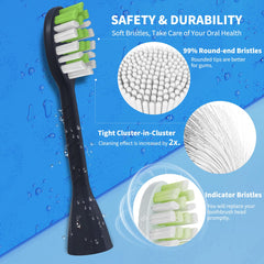 Individually packaged YMPBO replacement brush heads for travel