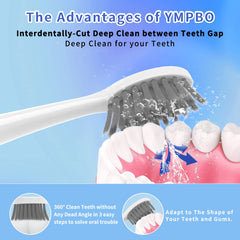 Compatible with BURST electric toothbrush for deep cleaning