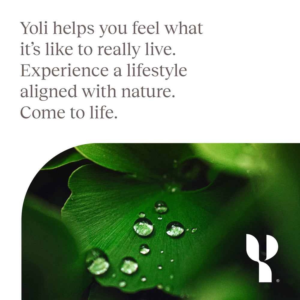 Included user guide with Yoli Enzyme bottle