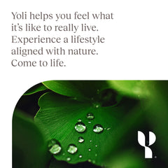 Included user guide with Yoli Enzyme bottle