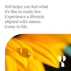Cinnamon and cayenne beside Yoli Resolve showing warming botanical ingredients