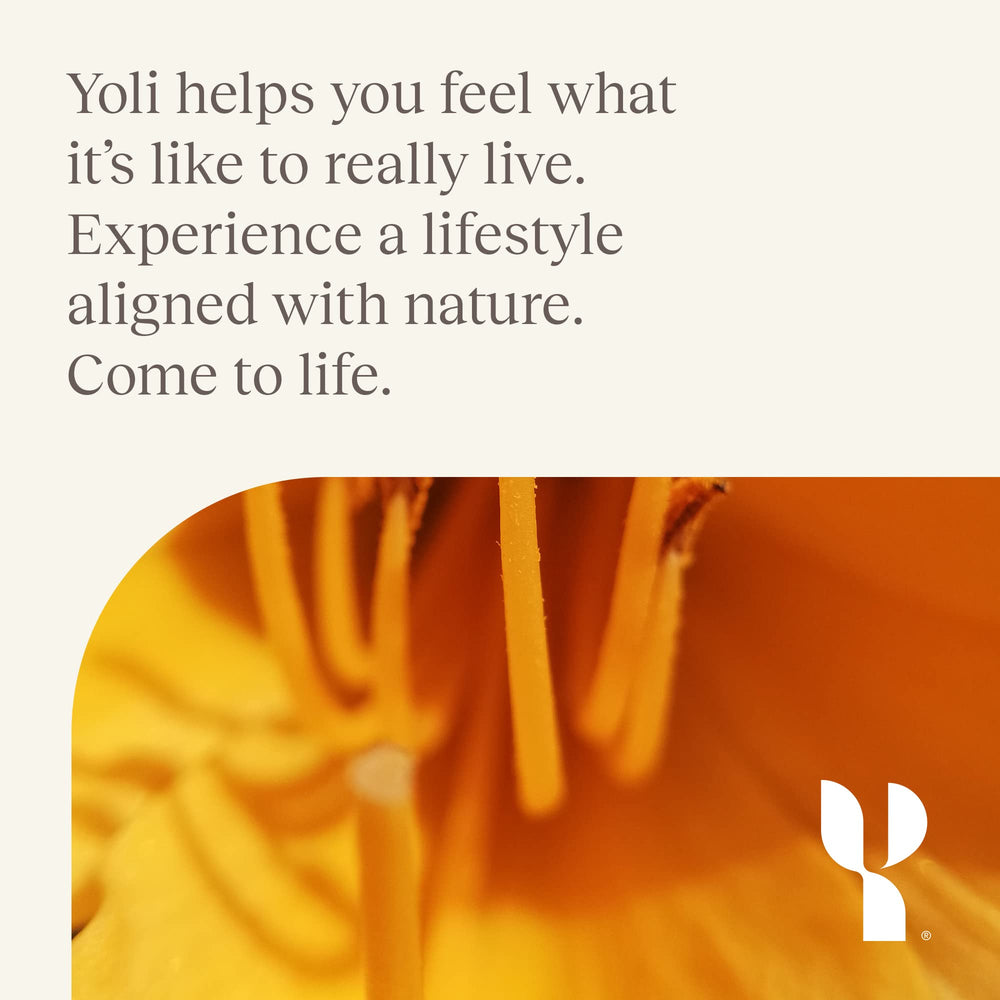 Visual of the complete 7-piece Transformation Kit